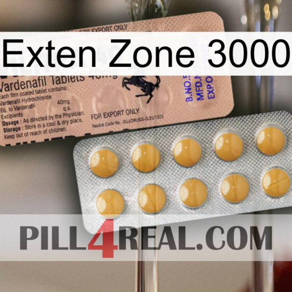 Exten Zone 3000 41.jpg